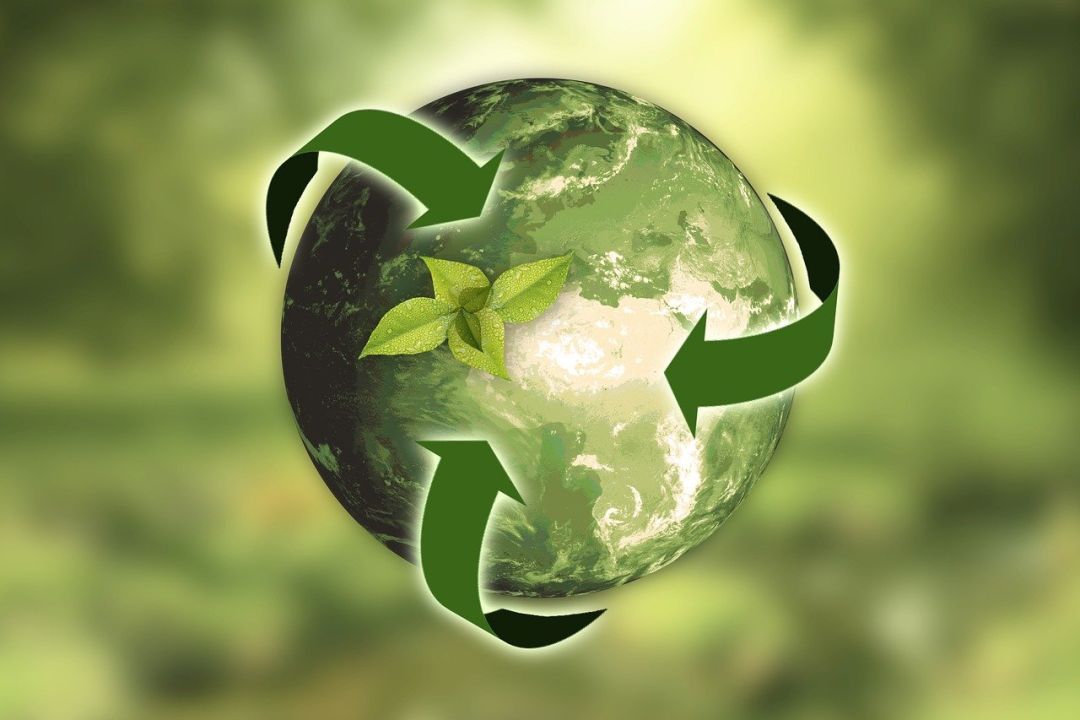 Curso de Gestão Ambiental