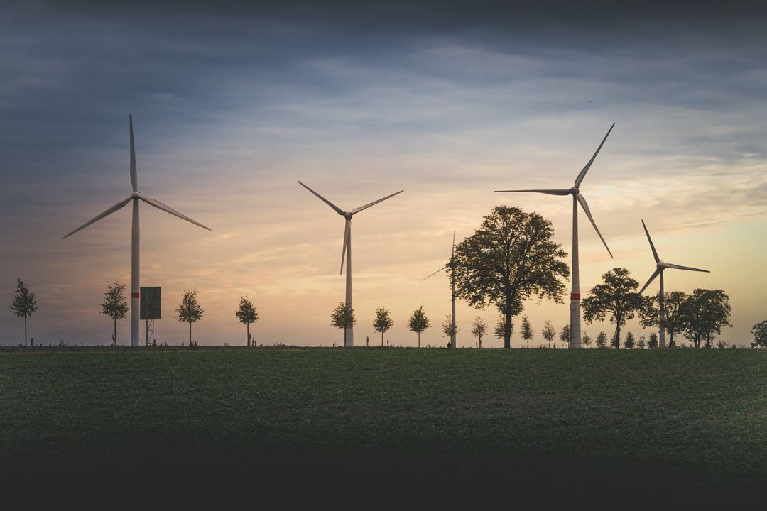 Curso de Práticas de Sustentabilidade